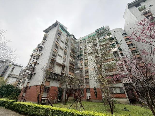 內湖法拍華廈-0